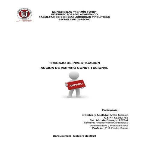 Trabajo de investigacion la accion de amparo constitucional