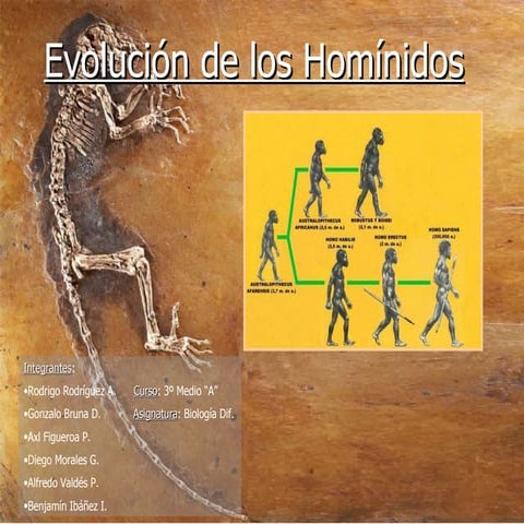 Trabajo De La Evolucion Humana... Hominidos