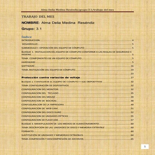 Trabajo del mes el equipo de computo partes y funciones 