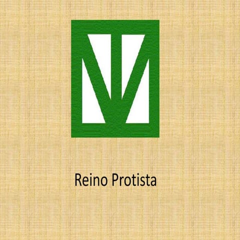 Trabajo Del Reino Protista