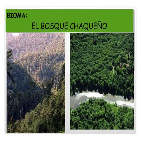 Trabajo  de naturales