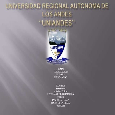 Trabajo de sistemas de informacion luis cambal