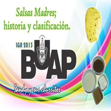 Historia y clasificación de las salsas madres