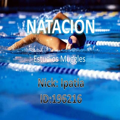 Trabajo Deportes Estudios Muggles