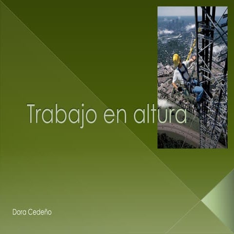 Trabajo en altura dora cedeño