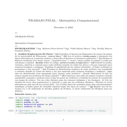 TRABAJO FINAL - Matemática Computacional (3).pdf