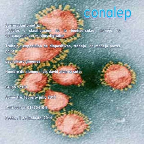 chava es bien chido!!!!