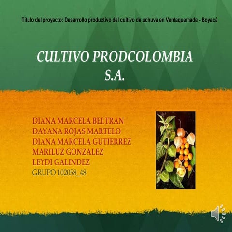 Trabajo  final  102058 48 uchuva - copia