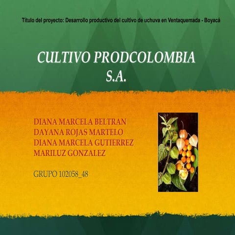 Trabajo final  40  102058_48 - pps