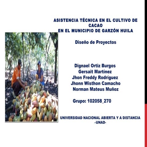 Asistencia Técnica en el Cultivo de Cacao en el Municipio de Garzón (Huila)