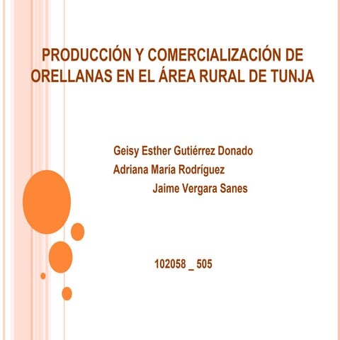 Trabajo final grupo 102058 505