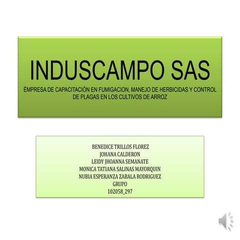 Trabajo final grupo 102058 297