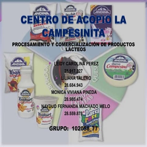 Trabajo final grupo_102058_77