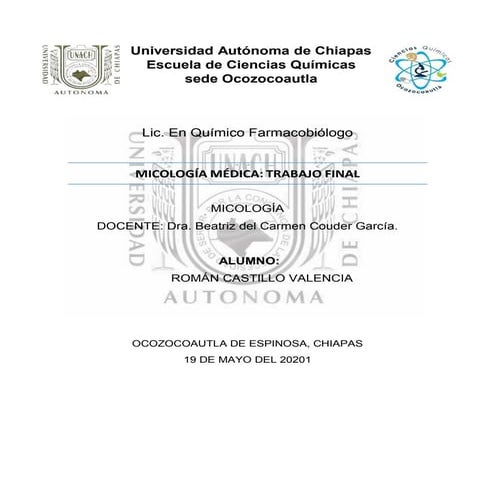 Trabajo final micologia 