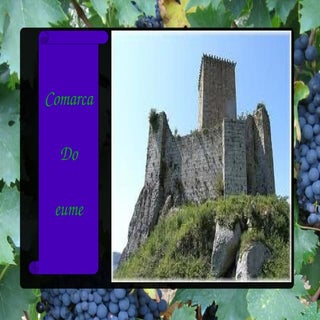 Trabajo fragas do eume (copia)andrea