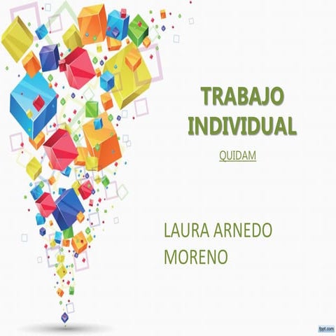 Trabajo individual quidam