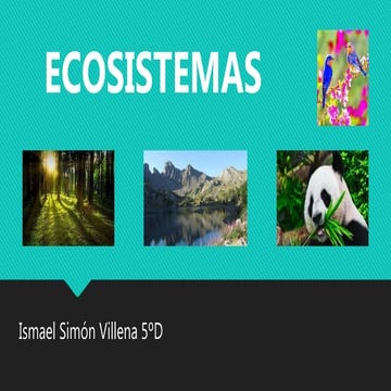 ECOSISTEMAS | PPTX