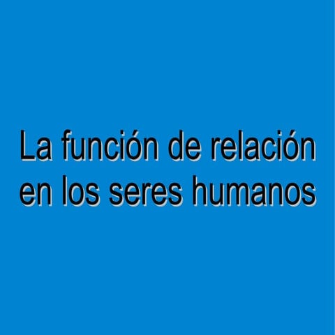 Trabajo Jjga de Cono