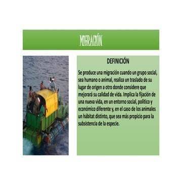 Migración: causas, consecuencias