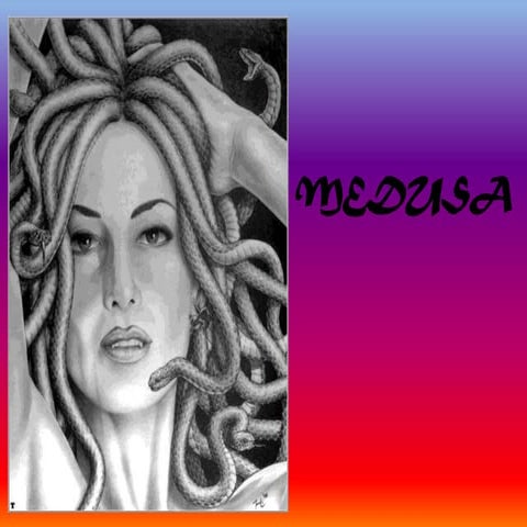 Trabajo medusa noelia