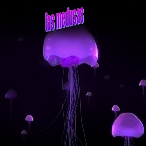 Las medusas