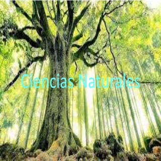 Trabajo naturales (1)