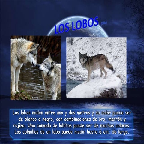 TRABAJO NIXON BONILLA