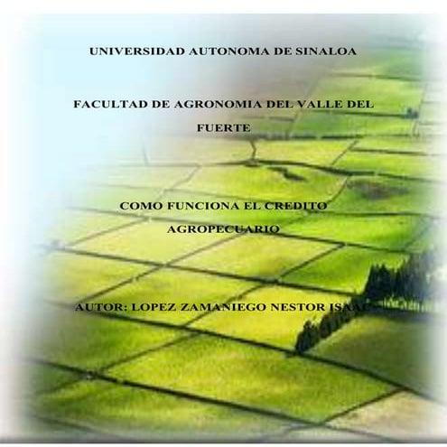 MinDOC Photo | PDF