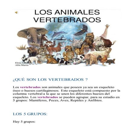 Traballo: Vertebrados do Mundo