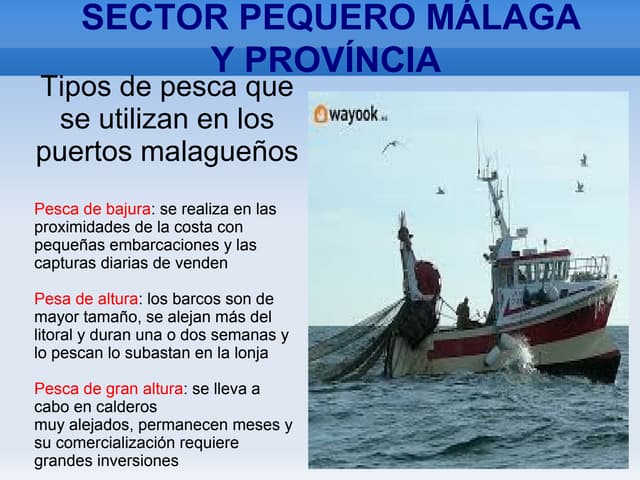 Trabajo pesca 