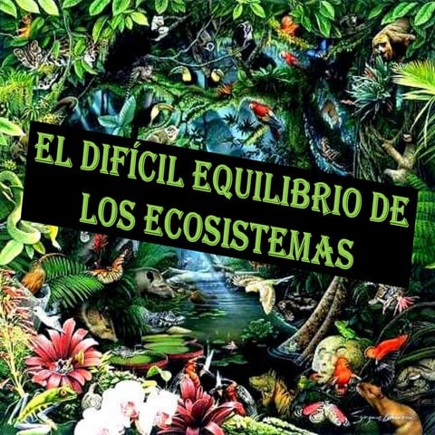 Os ecosistemas | PPTX