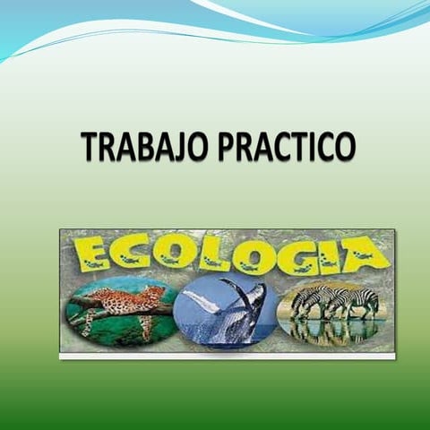 Trabajo practico ecologia