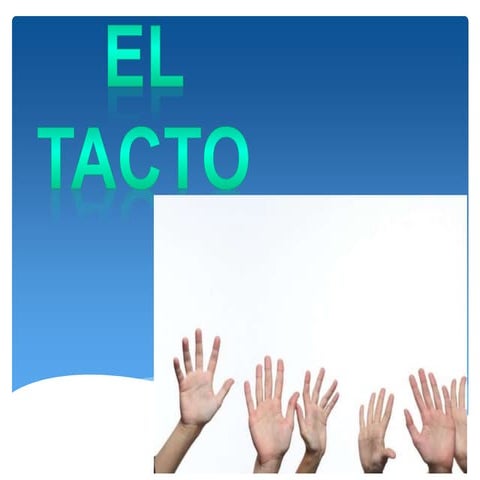 Anatomia y fisiologia del sentido del tacto | PPTX