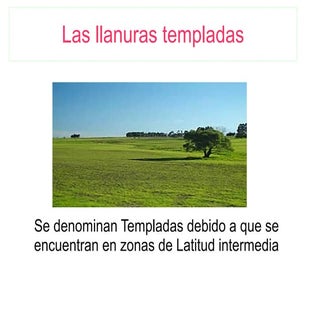 Trabajo practico llanuras templadas...