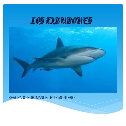Los tiburones