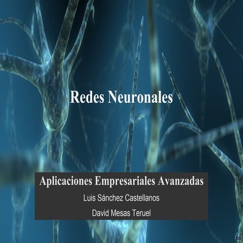 Redes Neuronales