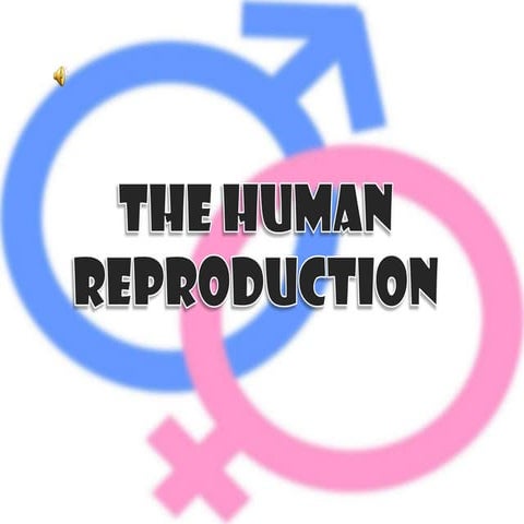 Human reproduction