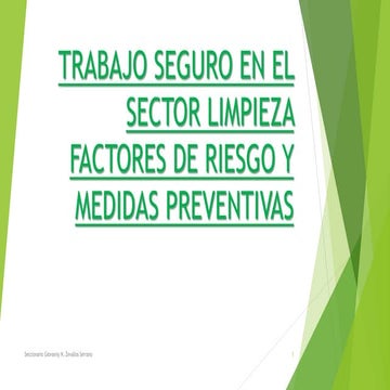 TRABAJO SEGURO EN EL SECTOR LIMPIEZA.pptx