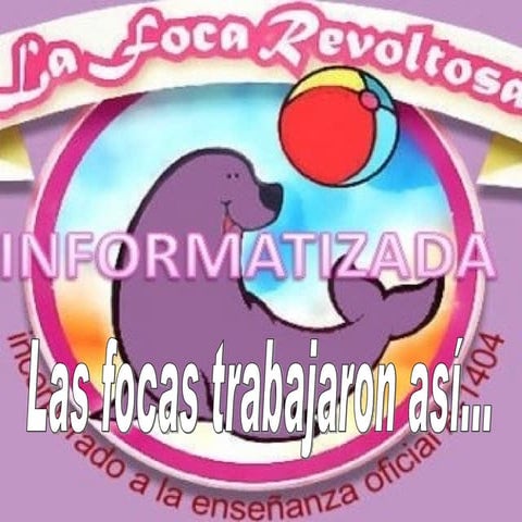 Las focas en Mayo!!!!