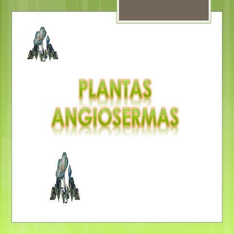 Trabajo sobre tipos de plantas