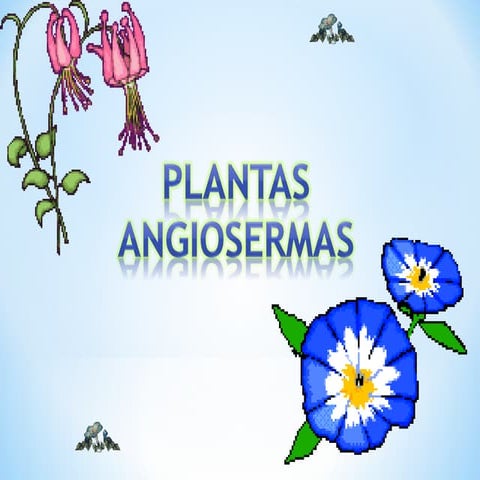 Trabajo sobre tipos de plantas