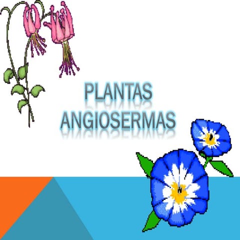 Trabajo sobre tipos de plantas