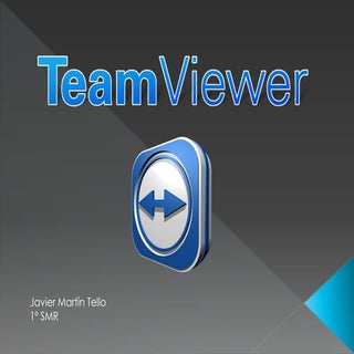 TEAMVIEWER.