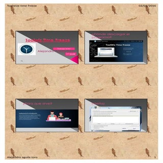 Trabajo toolwiz time freezem