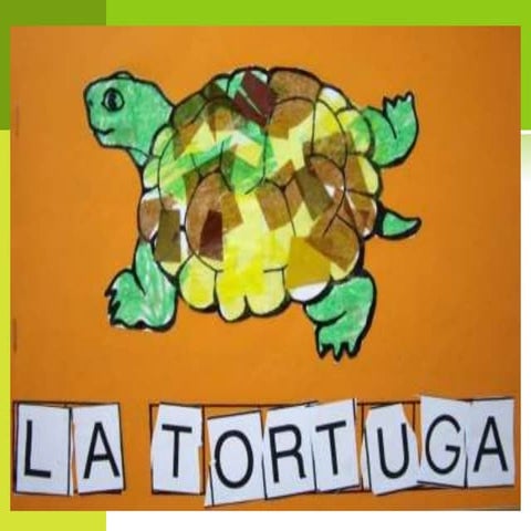Trabajo tortugas