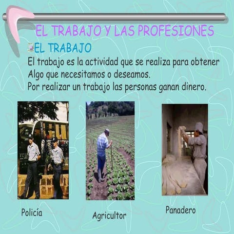 Trabajo y profesion
