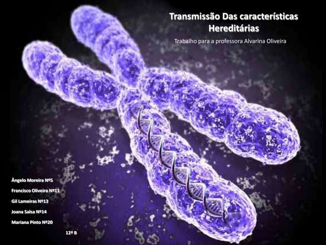 Transmissão das características her...