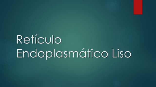 Retículo Endoplasmático 