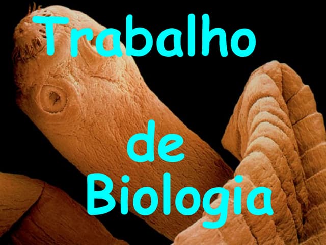 Trabalho d bio
