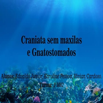 Craniata sem maxilas e Gnatostomados | PDF